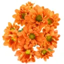 Daisies Dark Bronze Stone