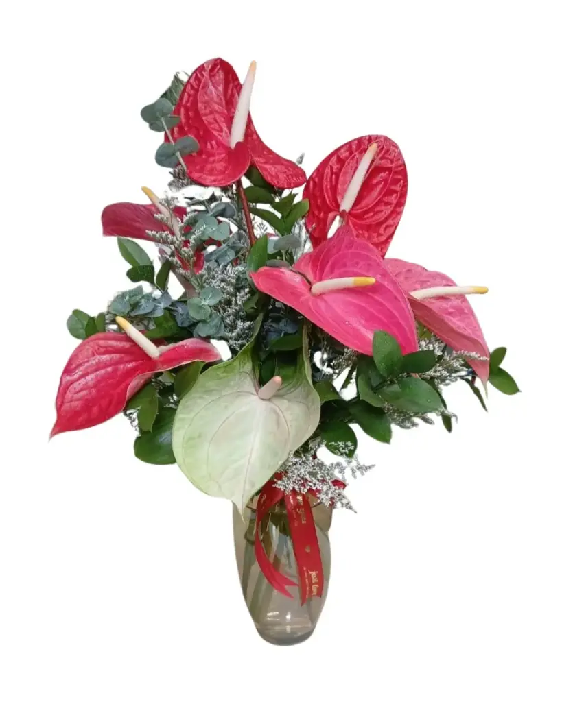 LCM-The Blossom Suite