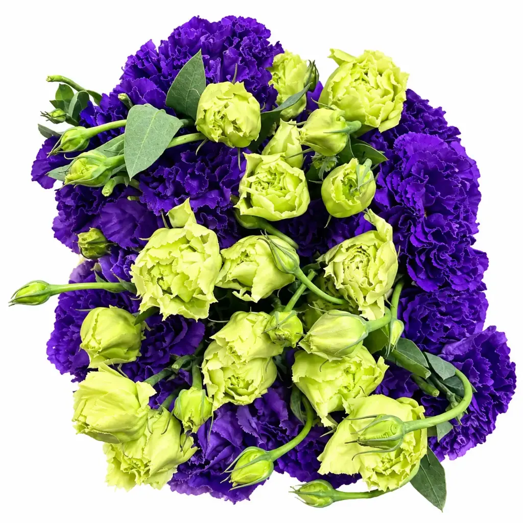 Lisianthus Purple Voyage