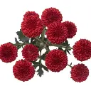 Micropoms Candy Crush Red (10st)