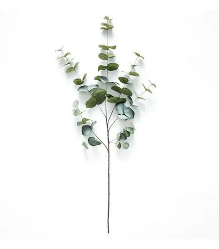 PO Eucalyptus Branchy Blue 