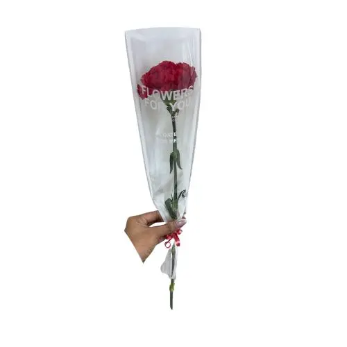 Single Carnation