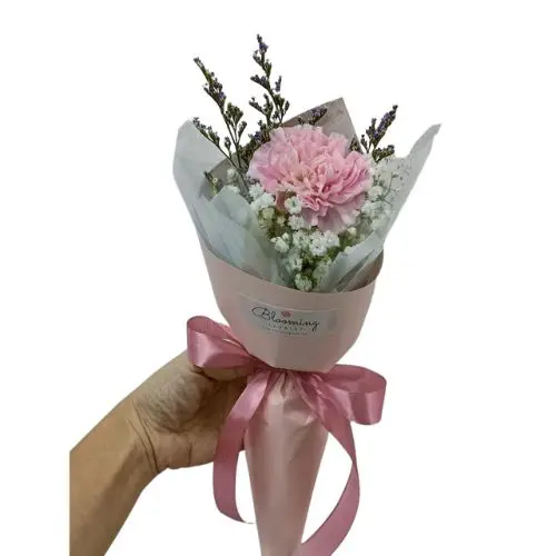 Single Dressed Carnation