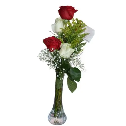 4 Roses w Filler in Vase