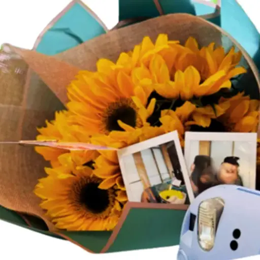 12 Sunflowers