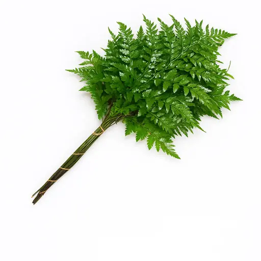 AL26 Leather Leaf
