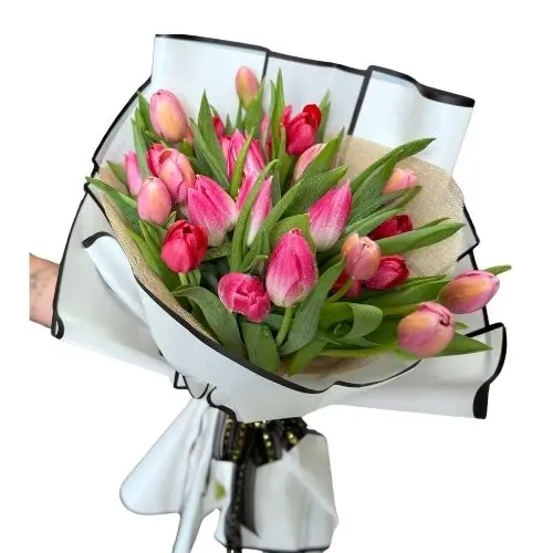 30 Tulips Wrapped