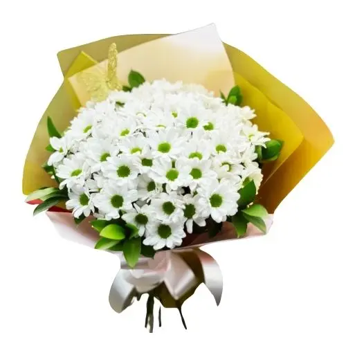 21 Stem Daisy W Filler