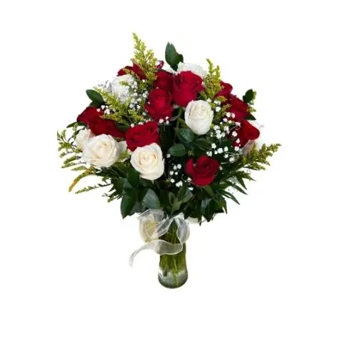 24 Roses Fully Dressed