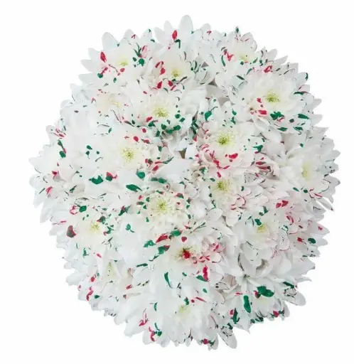 Tinted Chrysanthemums Confetti 