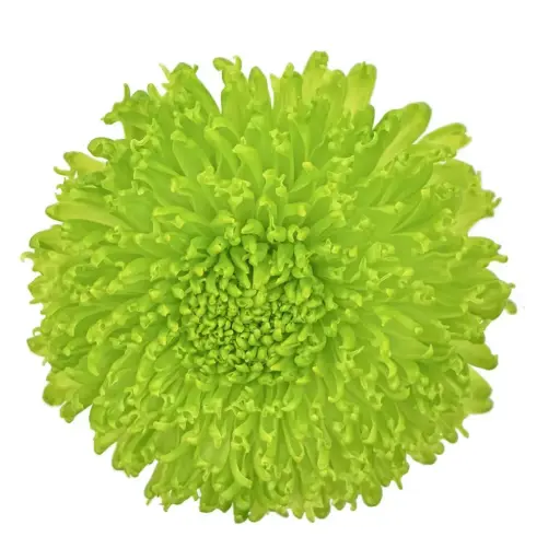 M26 Cremons Green Fuzzball