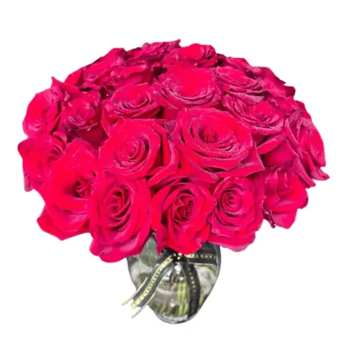 The Lover’s 24 (24 roses)