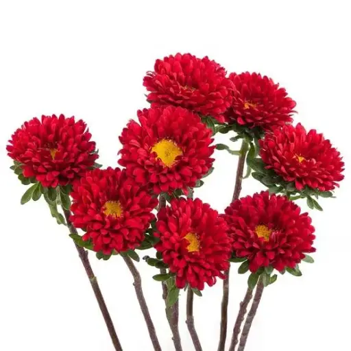 AL26 Matsumoto Red