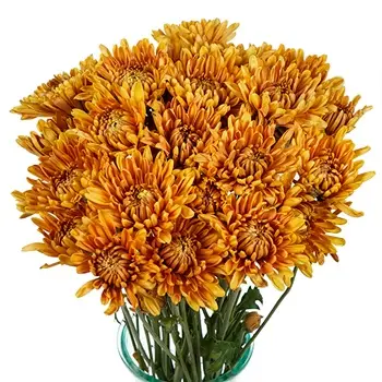 AL26 Chrysanthemums Light Bronze Turo 