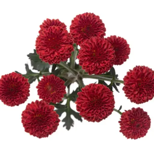 Micropoms Candy Crush Red (10st)